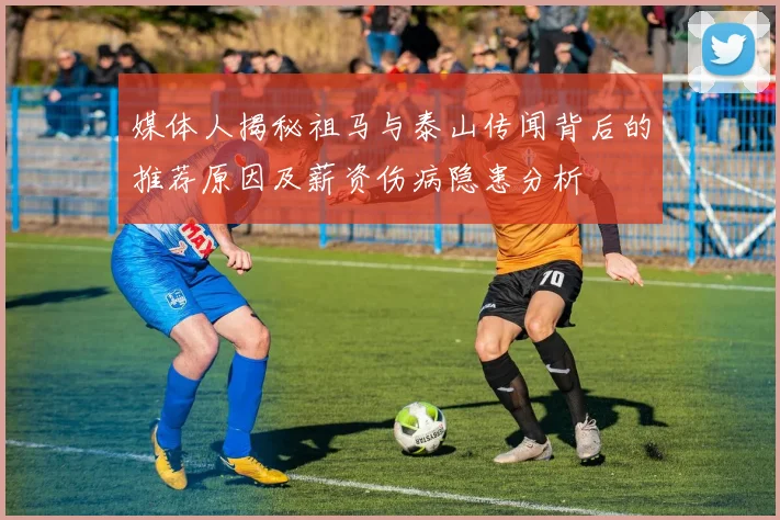 媒体人揭秘祖马与泰山传闻背后的推荐原因及薪资伤病隐患分析