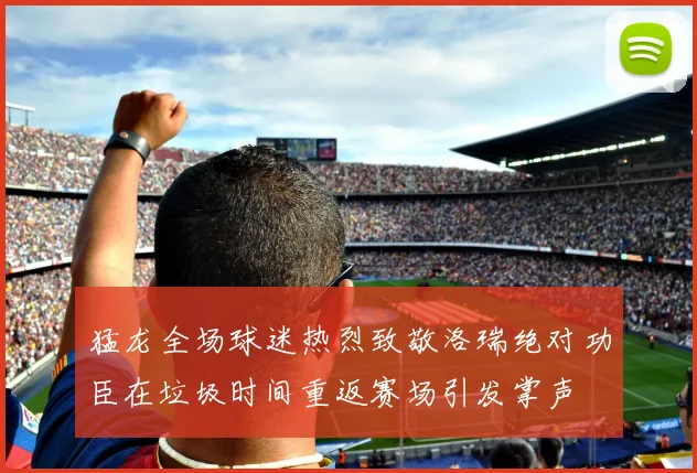 猛龙全场球迷热烈致敬洛瑞绝对功臣在垃圾时间重返赛场引发掌声